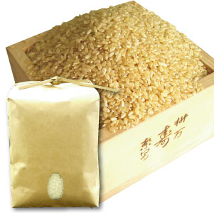 滋賀県高島産ミルキークイーン