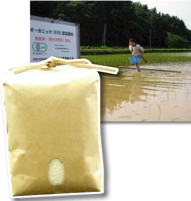 玄米 循環自然米 新潟県魚沼産コシヒカリ