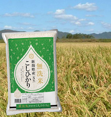 らくちん 新潟県産こしひかり